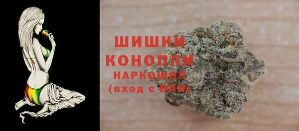 гашик Нея